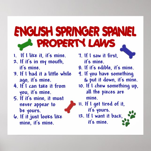ENGLISH SPRINGER SPANIEL PL2 POSTER (Front)