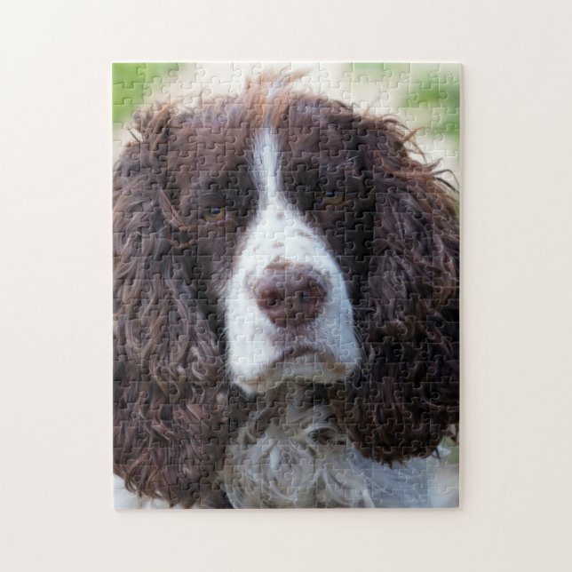 english springer spaniel.png jigsaw puzzle (Vertical)