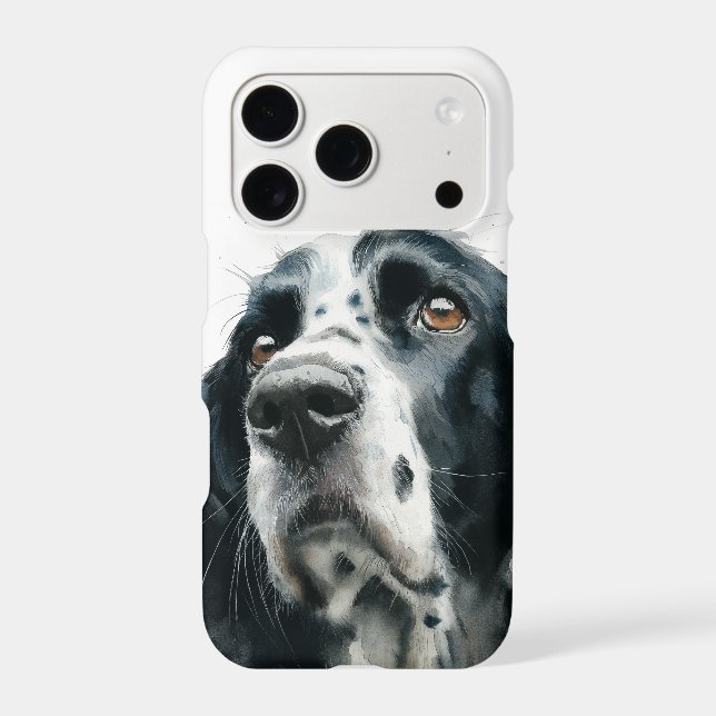 English springer spaniel portrait with ticking (Verso)