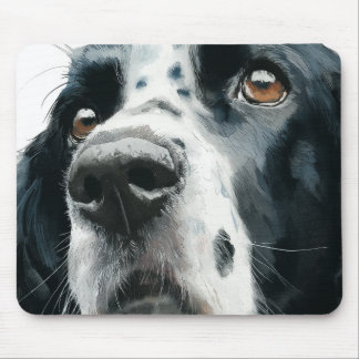 English springer spaniel portrait with ticking mouse pad