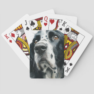 English springer spaniel portrait with ticking playing cards