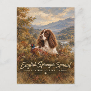 English Springer Spaniel Postcard