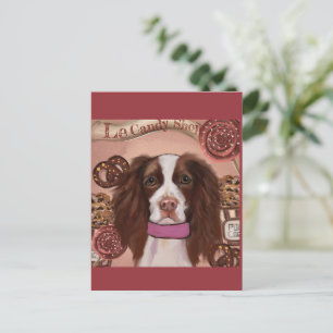 English Springer Spaniel Postcard