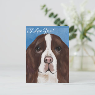 ENGLISH SPRINGER SPANIEL    POSTCARD