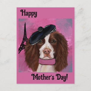 English Springer Spaniel Postcard