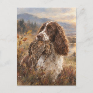 English Springer Spaniel Postcard