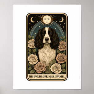English Springer Spaniel Poster