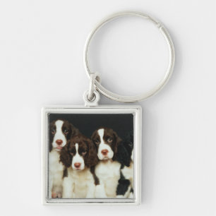 English Springer Spaniel Puppies (2) Keychain
