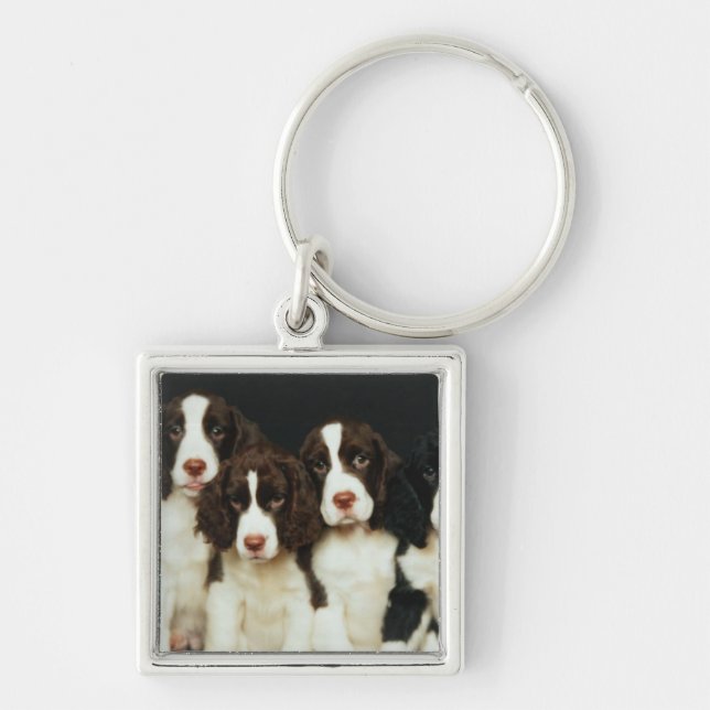 English Springer Spaniel Puppies (2) Keychain (Front)