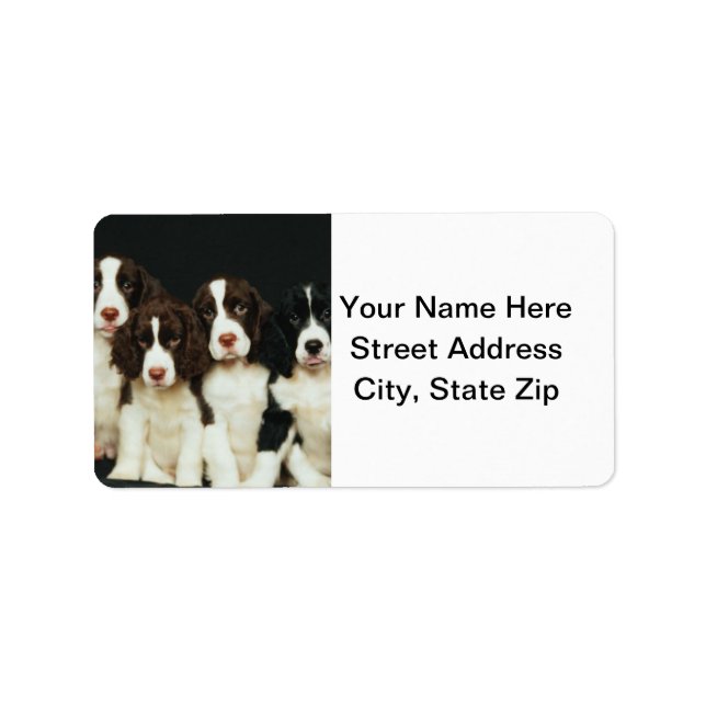 English Springer Spaniel Puppies (2) Label (Front)