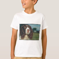 English Springer Spaniel