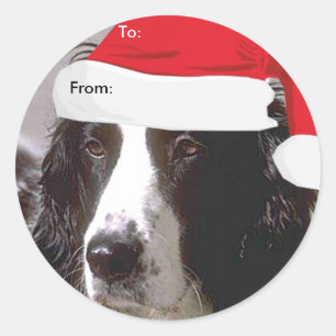 English Springer Spaniel To/From Xmas stickers