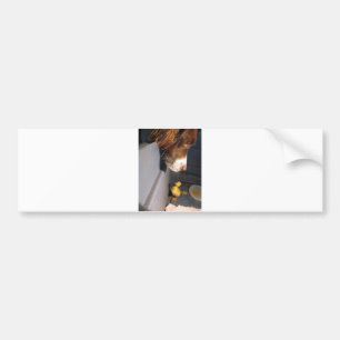 english springer spaniel w duckling bumper sticker