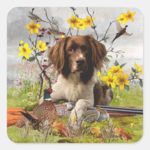 English Springer Spaniels ,Art Square Sticker