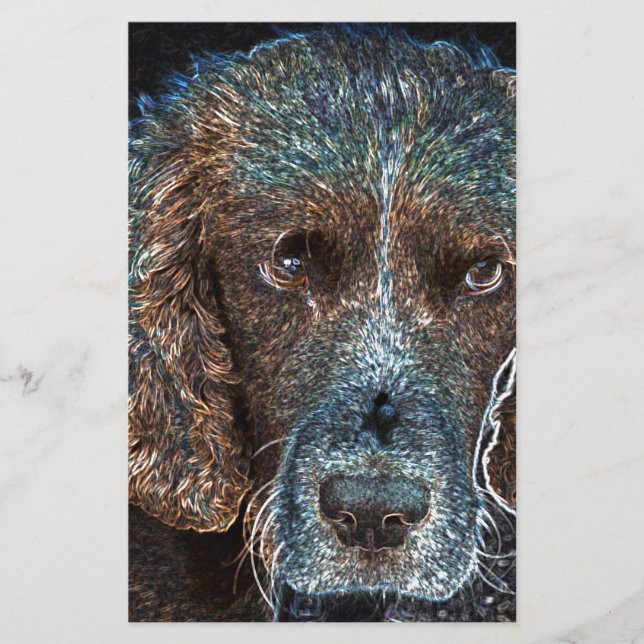 English Springer Stationery (Front)