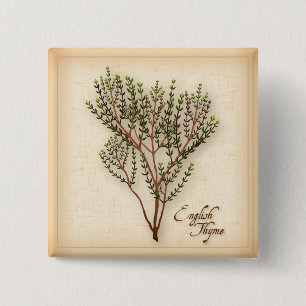 English Thyme Herb 2 Inch Square Button