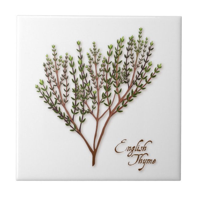 English Thyme Herb Ceramic Tile (Front)