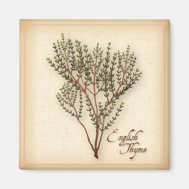 English Thyme Herb Magnet (Front)