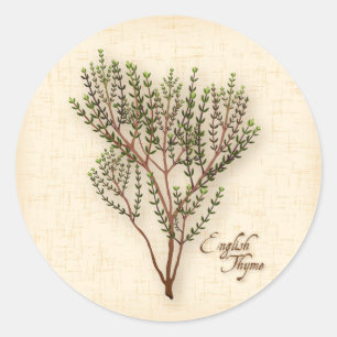 English Thyme Herb Stickers