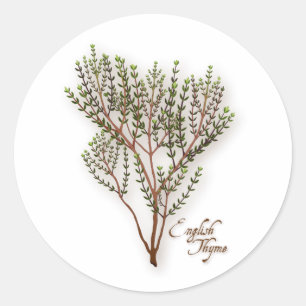 English Thyme Round Sticker