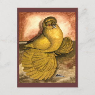 English Trumpeter Pigeon Yellow Self Postcard