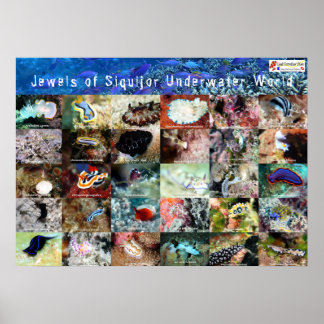 English version: Jewels of Under Water Siquijor Poster