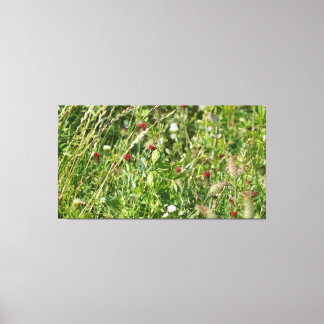 English Wildflower Meadow Canvas Print