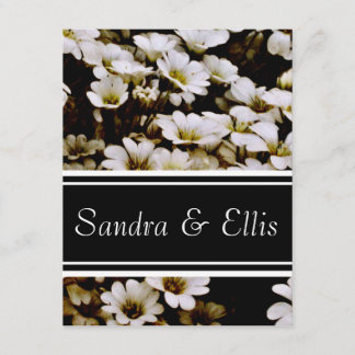 Enhanced Dasies Elegant Invitation