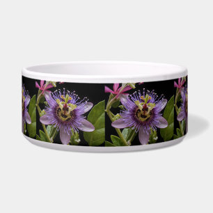 Enigmatic Beauty:  the Purple Passion Flower
