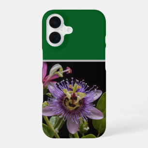 Enigmatic Beauty:  the Purple Passion Flower iPhone 16 Case