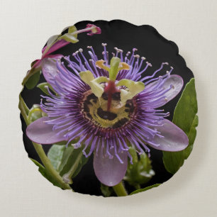 Enigmatic Beauty:  the Purple Passion Flower Round Pillow