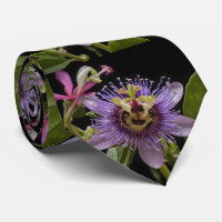 Enigmatic Beauty:  the Purple Passion Flower
