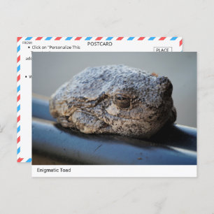 Enigmatic Toad Postcard 