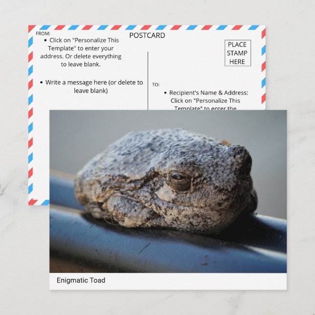 Enigmatic Toad Postcard  (Front/Back)