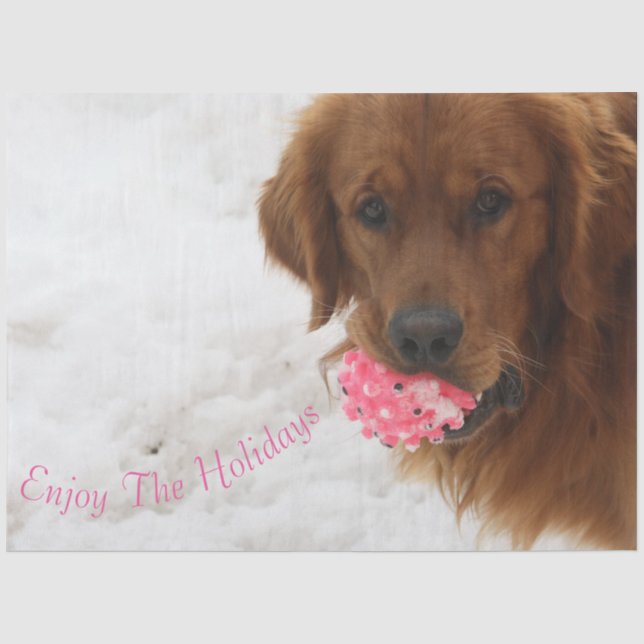 Enjoy The Holidays Tissue Paper (Front)