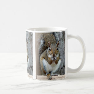 Enjoying a Treat Coffee Mug