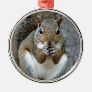 Enjoying a Treat Metal Ornament