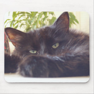 Enjoying your mouse pad