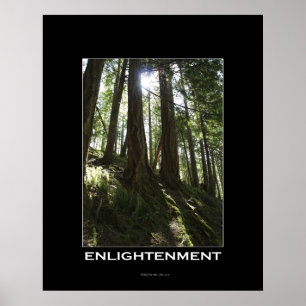 ENLIGHTENMENT Forest Motivational Photo Poster