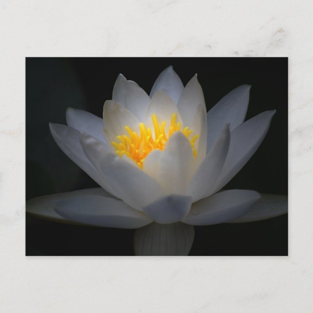 enlightenment postcard (Front)