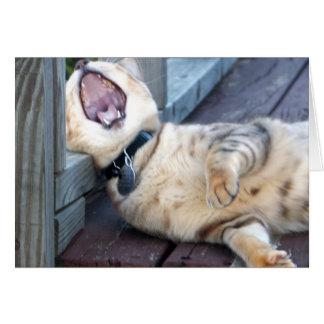 Ennuyeux !