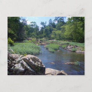 Eno River, North Carolina Postcard