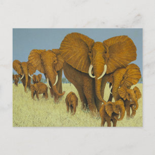 Enormous but caring postcard