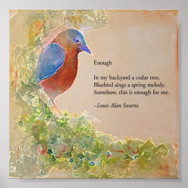 Enough Poster (Front)