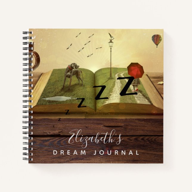 Enregistrement d'analyse du journal de Dream Photo (Devant)
