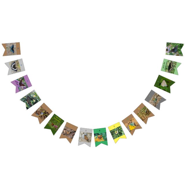 Enregistrer la bannière d'anniversaire des papillo (Tout)