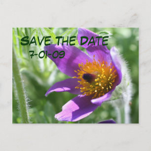 Enregistrer La Carte Postale Date Pasque Flower Ph
