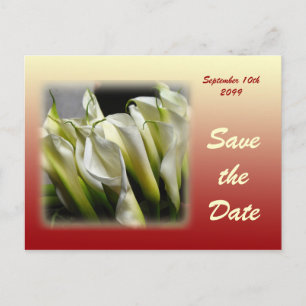 Enregistrer la date carte postale - White Calla Li
