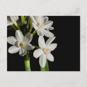 Enregistrer Les Cartes Postales Dates
