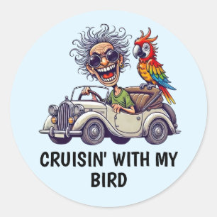 Ensemble à autocollants de conduite